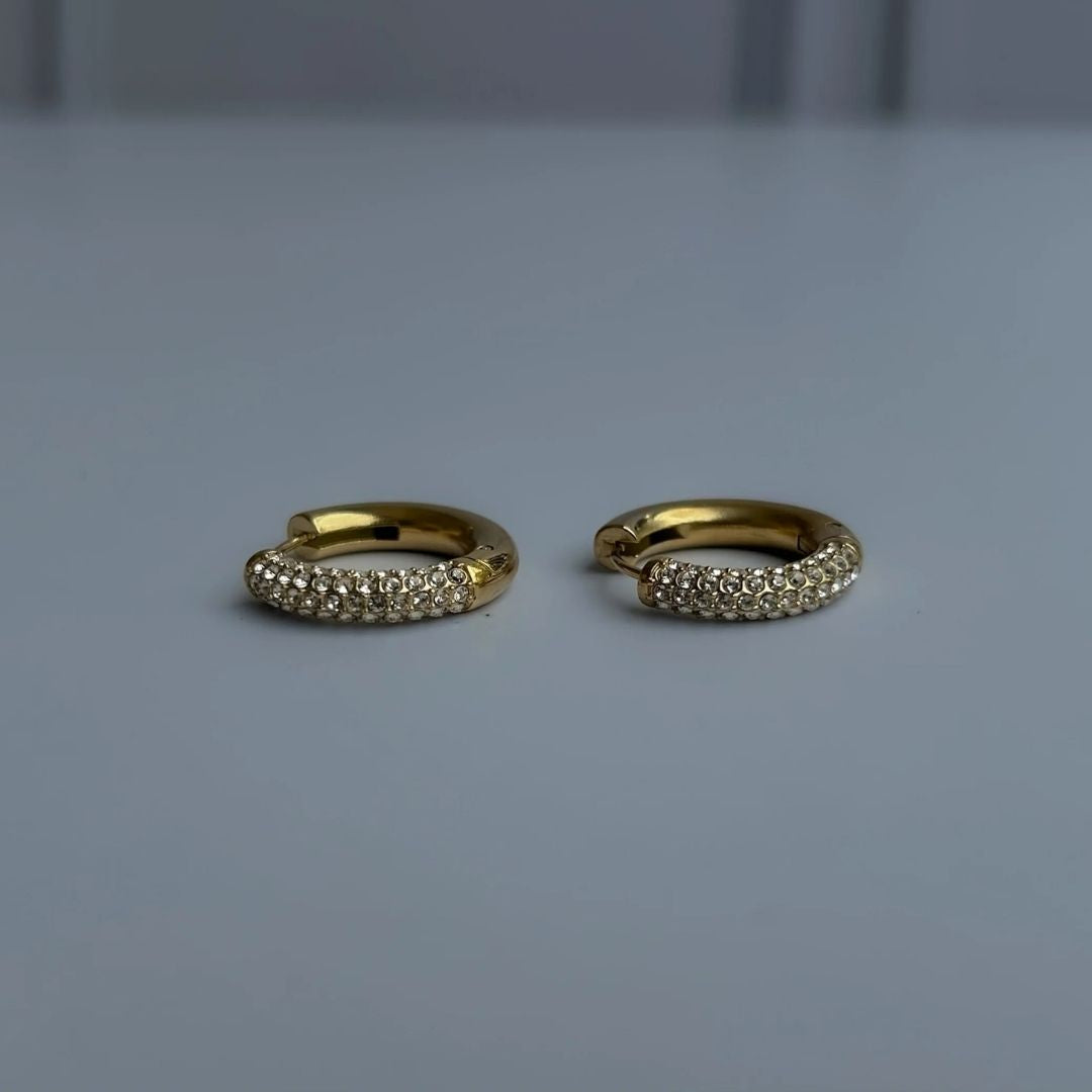 Honey Luxe Hoops Earrings