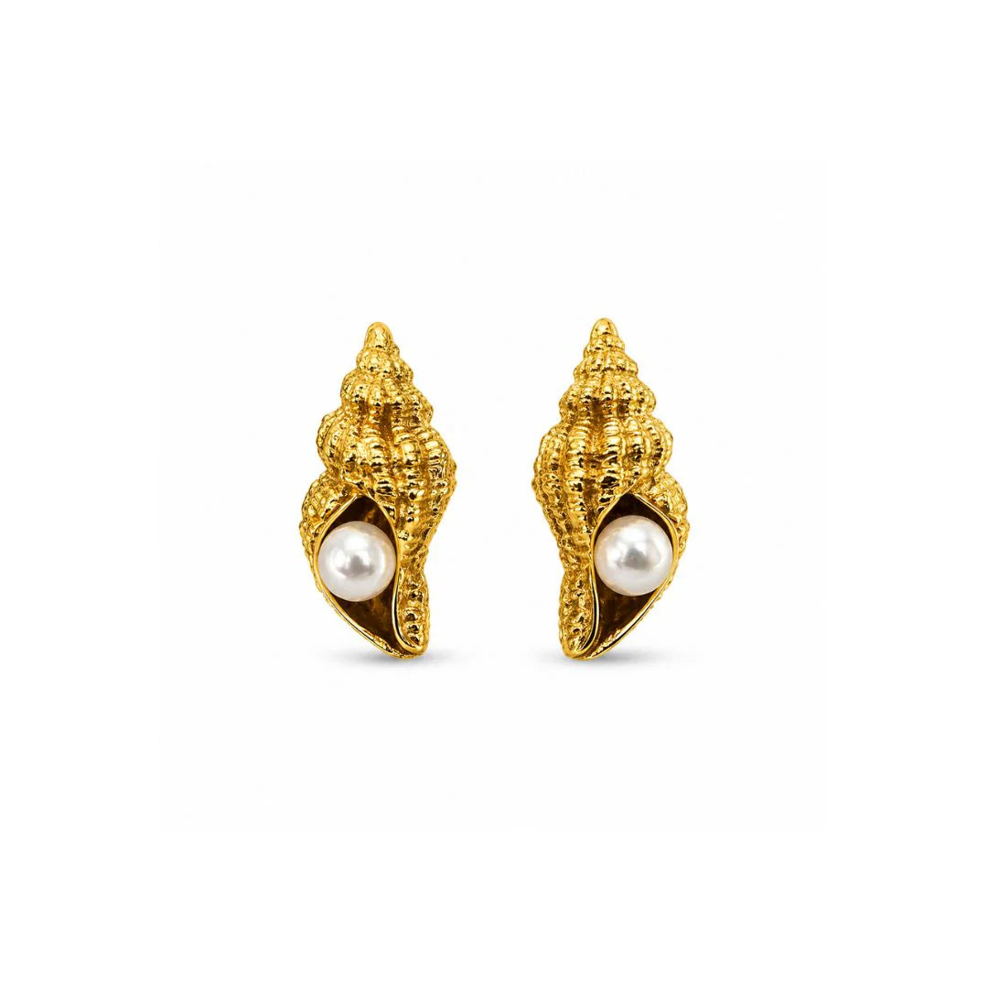 Sea Conch Set