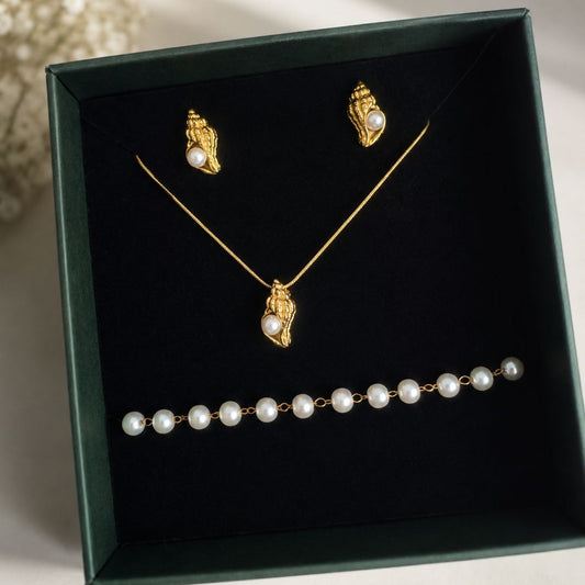 Sea Conch Set