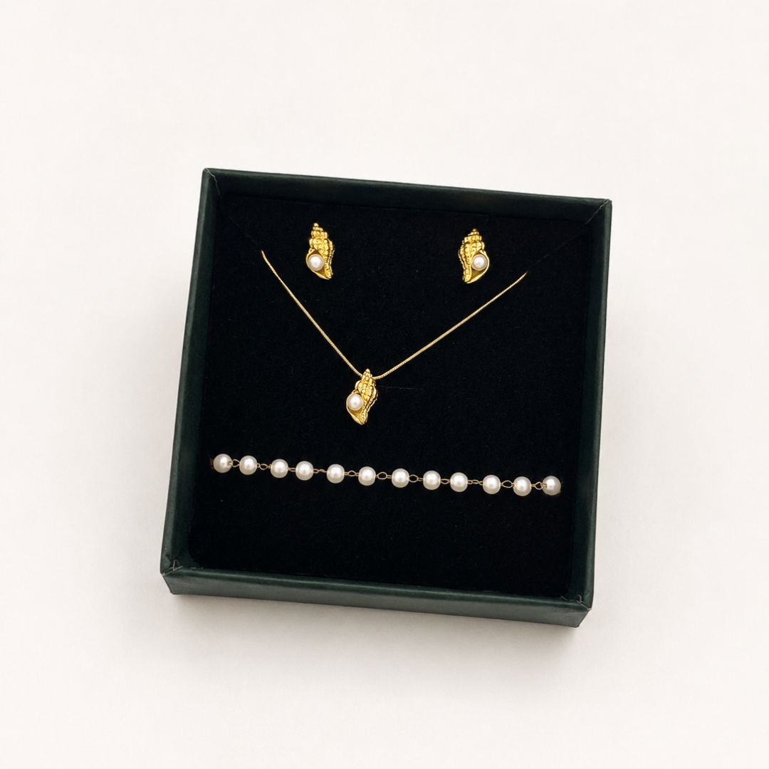 Sea Conch Set
