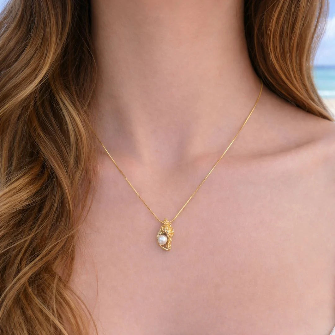Sea Conch Set