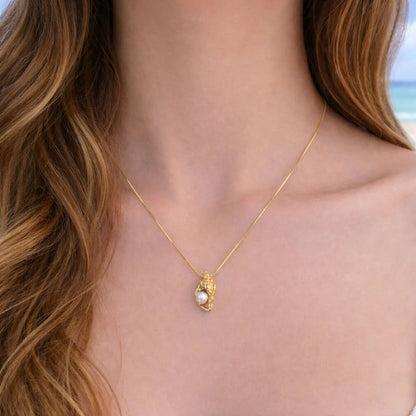 Sea Conch Set