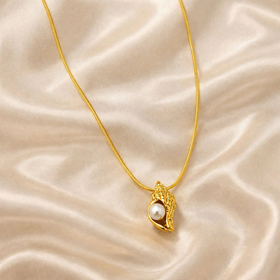 Sea Conch Set