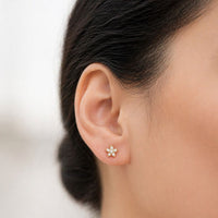 Drama Drop Earrings