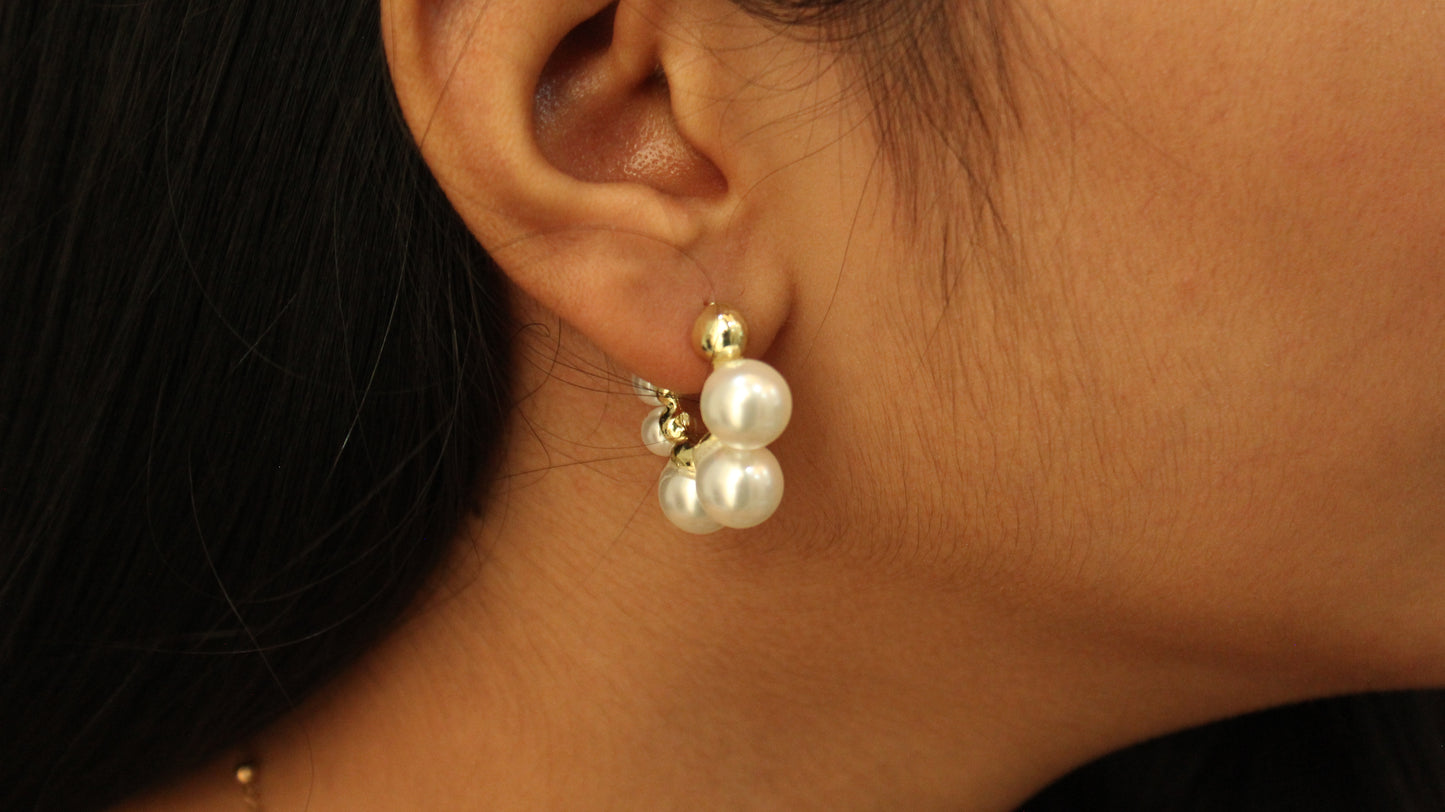 Perky Pearl Earrings (ER106)