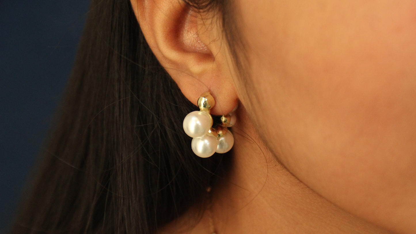 Perky Pearl Earrings (ER106)